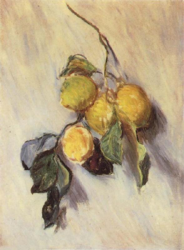 Claude Monet Branch from a Lemon Tree Sweden oil painting art
